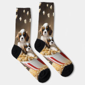 Quads Cavalier Spaniel Welpen im Popcorn, Socken (Rechts)