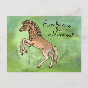 Quagga "Den Moment genießen" Postkarte