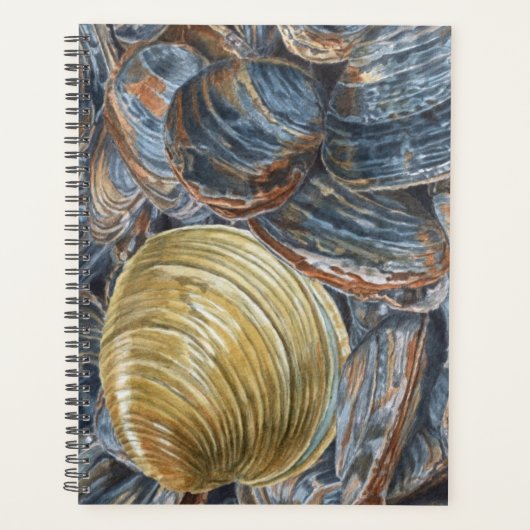 Quahog and Clams Planer (Vorderseite)