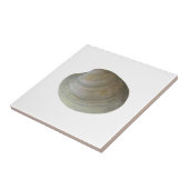 Quahog-Muschel (unberechtigt) Fliese (Seite)