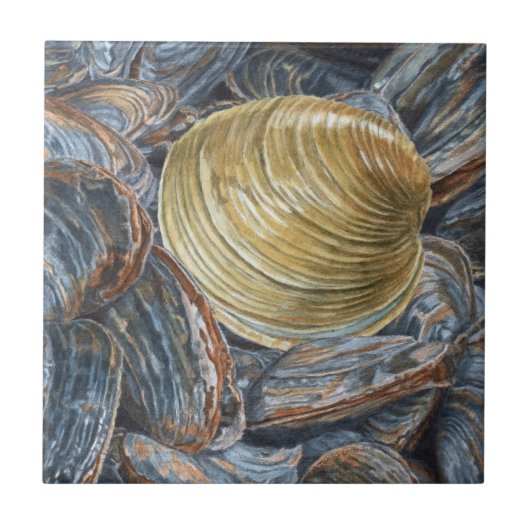 Quahog und Clams Fliese (Vorderseite)