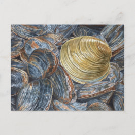 Quahog und Clams Postkarte
