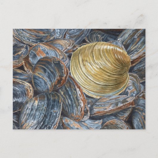 Quahog und Clams Postkarte (Vorderseite)