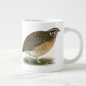 Quai Jumbo-Tasse (Rechts)