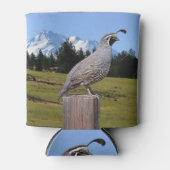 QUAIL AUF DREAM POINT DOSENKÜHLER (Vorderseite)