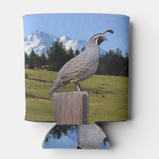 QUAIL AUF DREAM POINT DOSENKÜHLER (Rückseite)