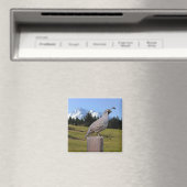 QUAIL AUF DREAM POINT MAGNET (In Situ (Geschirrspüler))