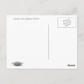 QUAIL AUF DREAM POINT POSTKARTE (Rückseite)