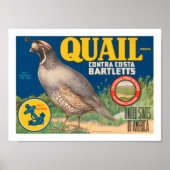 Quail Brand Contra Costa Bartletts Poster (Vorne)