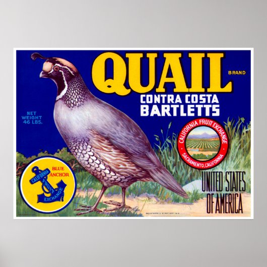 Quail Brand Contra Costa Bartletts Poster (Vorne)