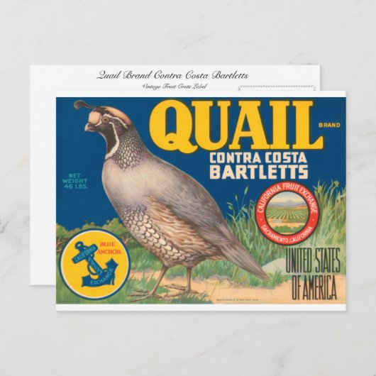 Quail Brand Contra Costa Bartletts Postkarte (Vorne/Hinten)