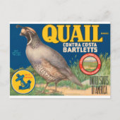 Quail Brand Contra Costa Bartletts Postkarte (Vorderseite)