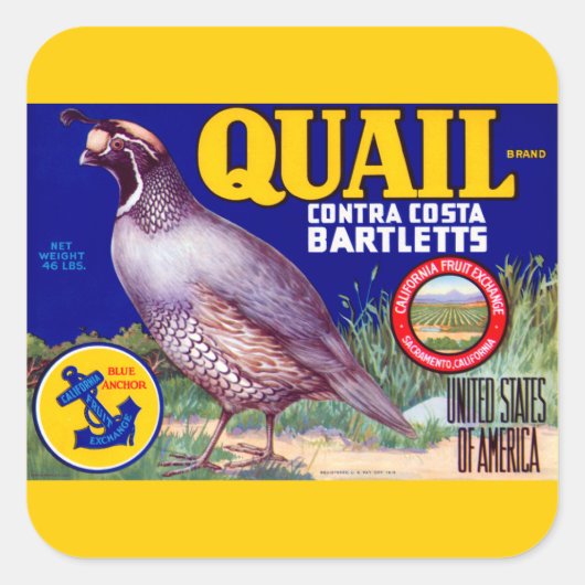 Quail Brand Contra Costa Bartletts Quadratischer Aufkleber (Vorderseite)
