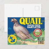 Quail Contra Costa Bartletts Sacramento Kalifornie Postkarte (Vorne/Hinten)