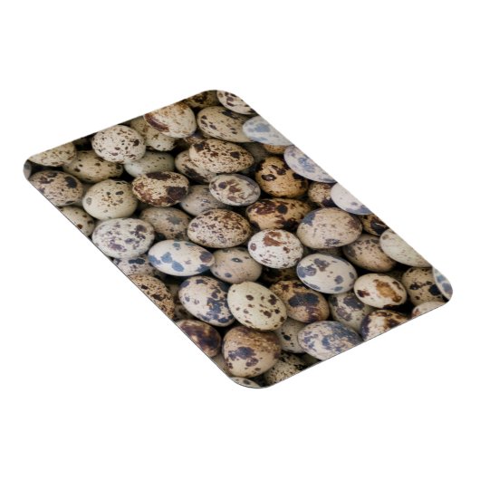 Quail Eggs, Huaraz, Cordillera Blanca, Ancash Magnet (Rechte Seite)