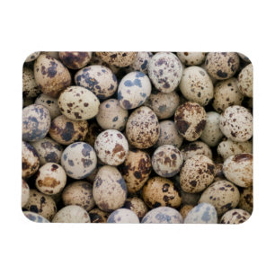 Quail Eggs, Huaraz, Cordillera Blanca, Ancash Magnet