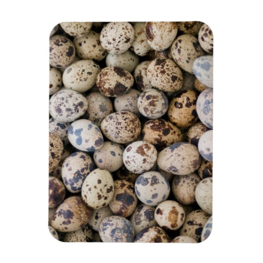 Quail Eggs, Huaraz, Cordillera Blanca, Ancash Magnet (Vertikal)
