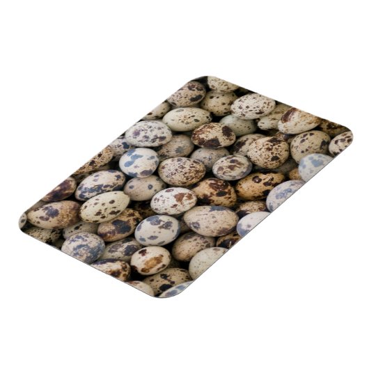 Quail Eggs, Huaraz, Cordillera Blanca, Ancash Magnet (Linke Seite)