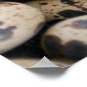 Quail Eggs, Huaraz, Cordillera Blanca, Ancash Poster (Ecke)