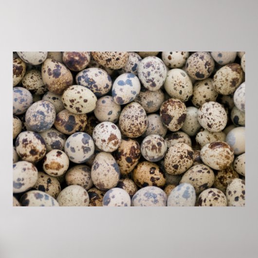 Quail Eggs, Huaraz, Cordillera Blanca, Ancash Poster (Vorne)