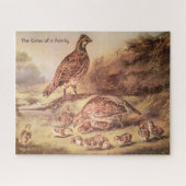 Quail Family Grosses Puzzle (500 Stück) (Horizontal)