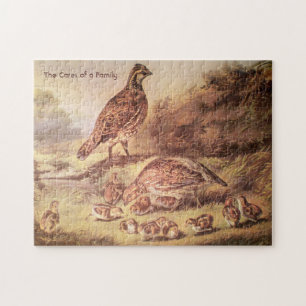 Quail Family Medium Puzzle (250 Stück)