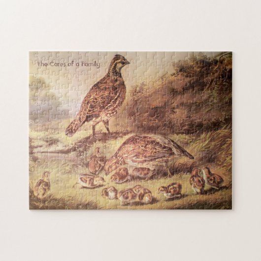 Quail Family Medium Puzzle (250 Stück) (Horizontal)