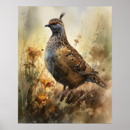 Quail Farm Animal Art Print Poster