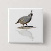 QUAIL REFLEKTIERT BUTTON (Vorderseite)