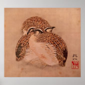 Quail Trio Poster (Vorne)