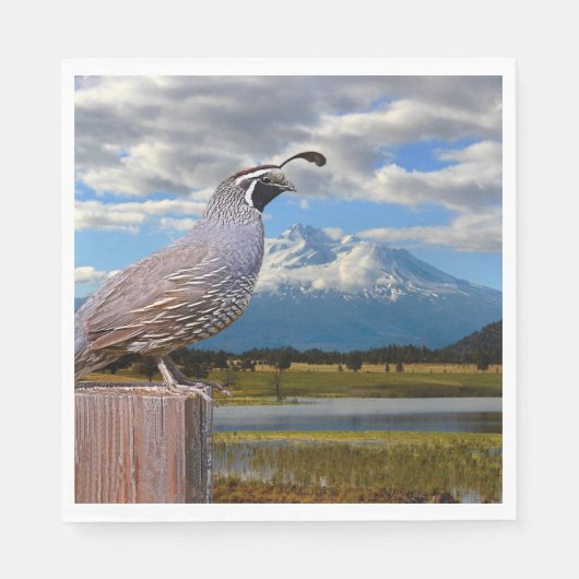 QUAIL UND SHASTA SERVIETTE (Vorderseite)