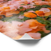 Quaint Mexico Town at Sunset Fotodruck (Ecke)