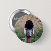 Quäk! Button (Vorne & Hinten)