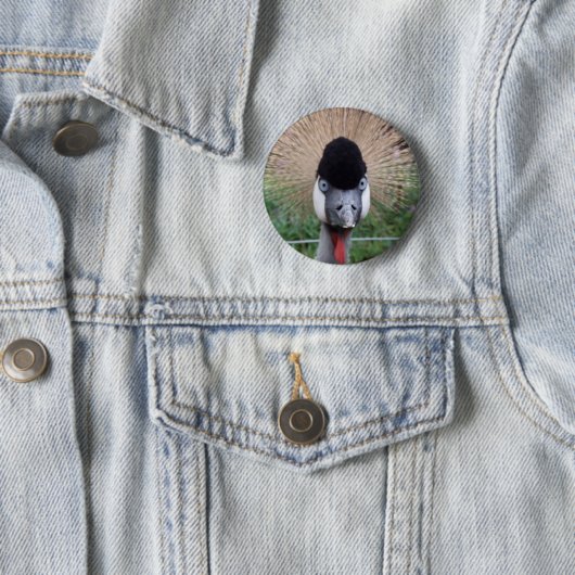 Quäk! Button (Beispiel)