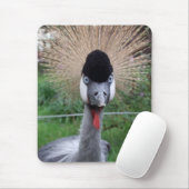 Quäk! Mousepad (Mit Mouse)