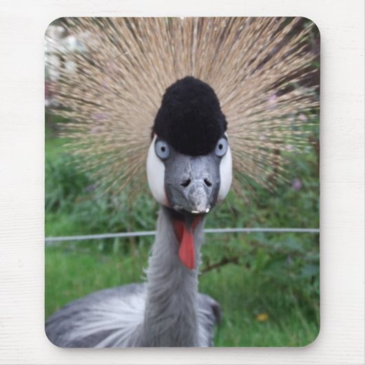 Quäk! Mousepad (Vorne)