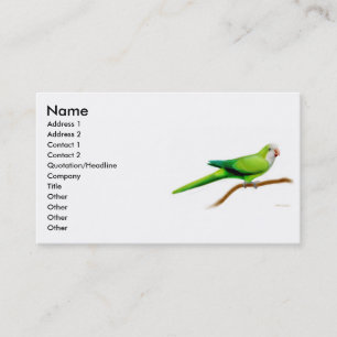 Quäker-Papageien-Visitenkarte Visitenkarte