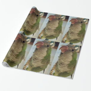 Quaker-Papagepapier Geschenkpapier