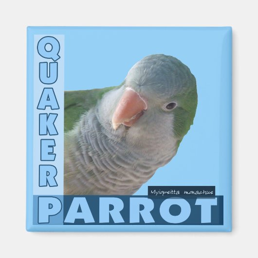 Quaker Parakeet Foto Magnet (Vorne)