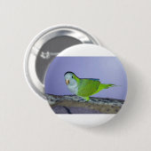 Quaker Parrot Button (Vorne & Hinten)