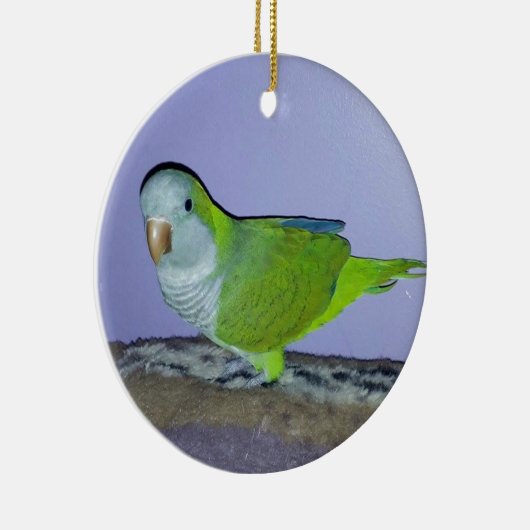 Quaker Parrot Keramik Ornament (Rechts)