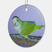 Quaker Parrot Keramik Ornament (Links)