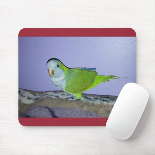 Quaker Parrot Mousepad (Mit Mouse)