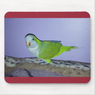 Quaker Parrot Mousepad