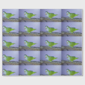 Quaker Parrot Wrapping Paper Geschenkpapier (Flach)