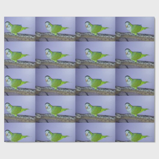 Quaker Parrot Wrapping Paper Geschenkpapier (Flach)