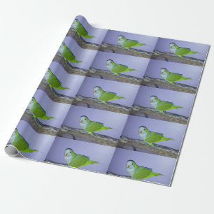 Quaker Parrot Wrapping Paper Geschenkpapier