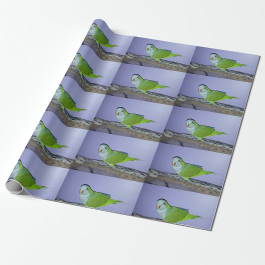 Quaker Parrot Wrapping Paper Geschenkpapier (Ungerollt)