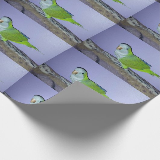 Quaker Parrot Wrapping Paper Geschenkpapier (Ecke)