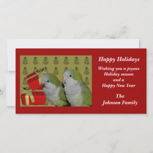 Quaker Parrots Animal Christmas Holiday Card Feiertagskarte